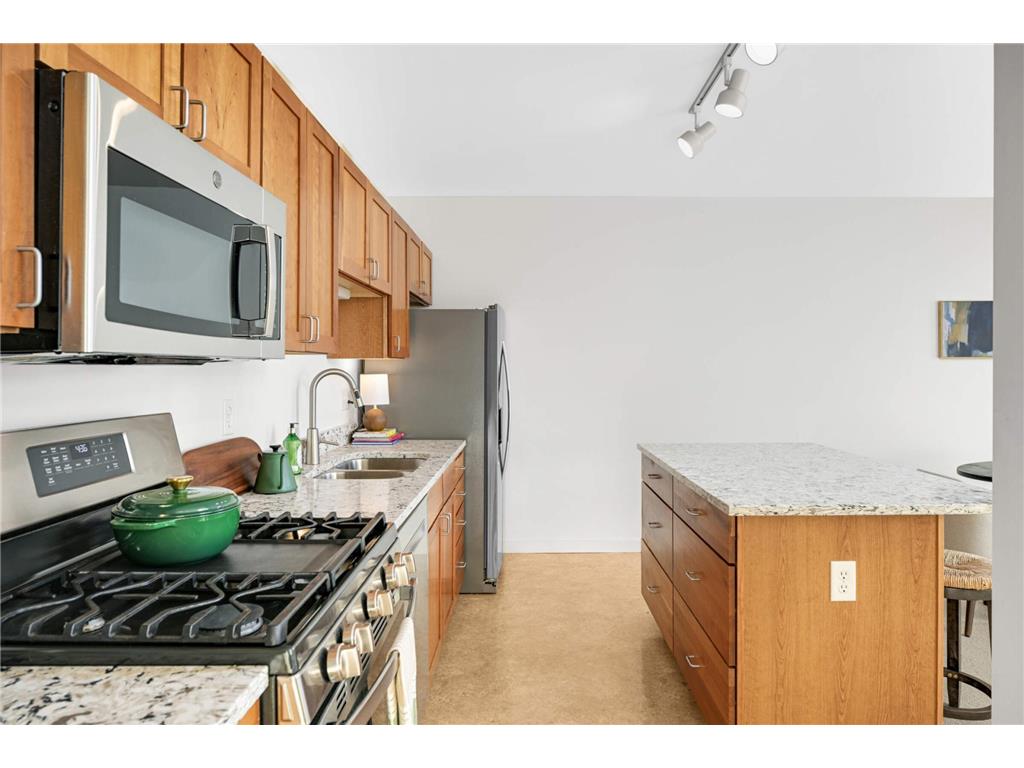 1829 3rd Avenue S #215 Minneapolis MN 55404 6806664 image11