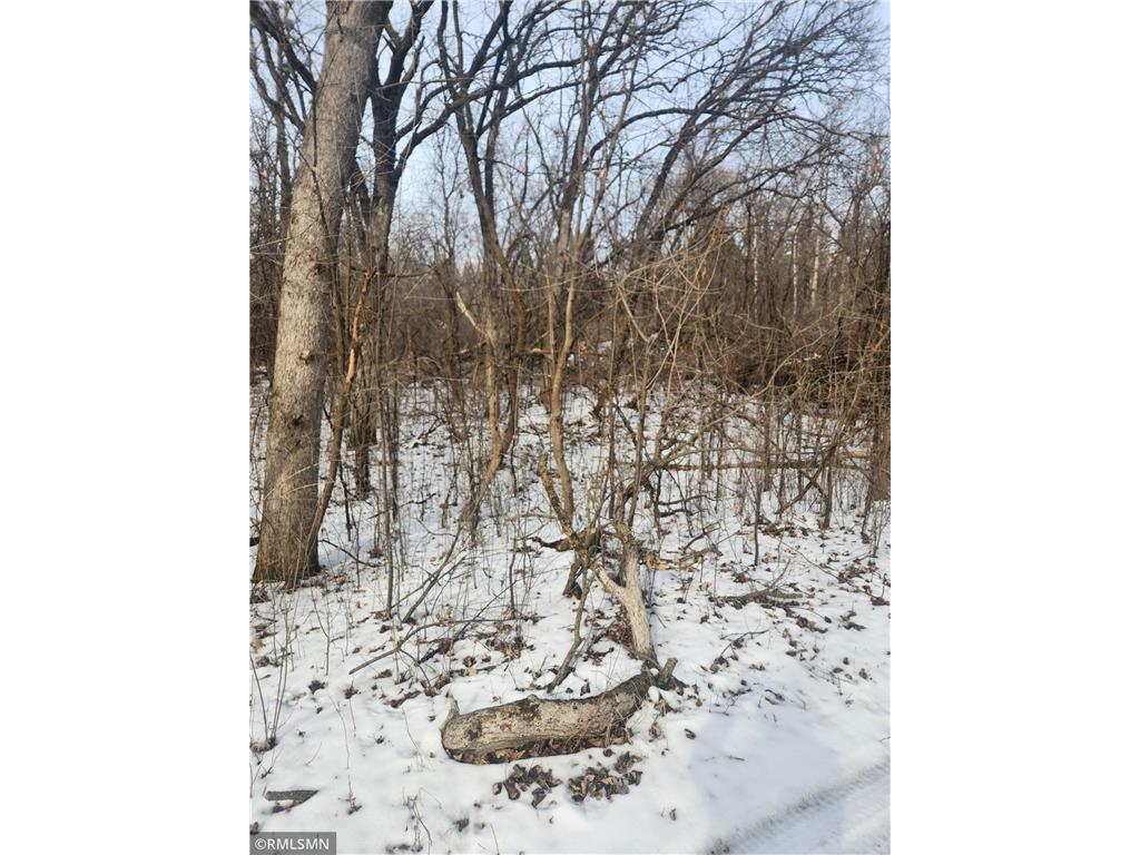 18290 Clayton Avenue Vermillion Twp MN 55033 6696157 image2