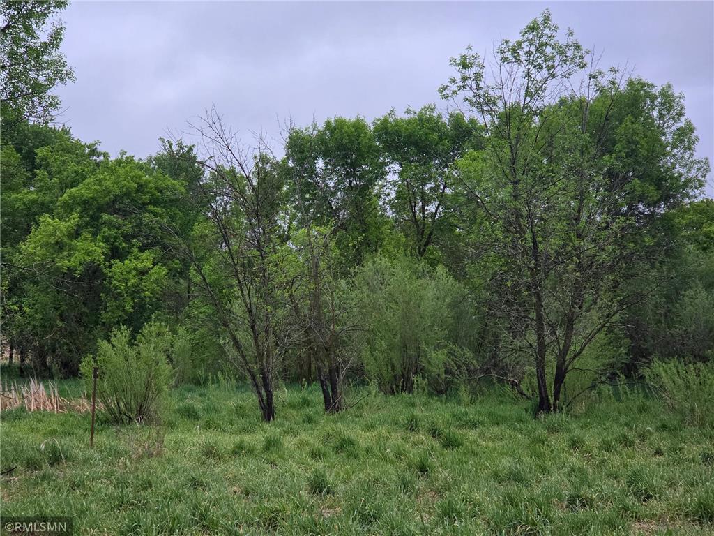 182XXX 484th LN Waterville Twp MN 56096 - Cannon River 7104086 image24