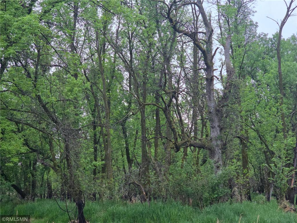 182XXX 484th LN Waterville Twp MN 56096 - Cannon River 7104086 image25