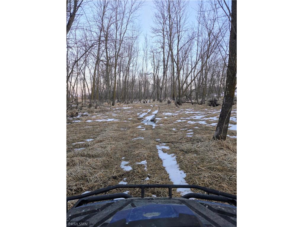 182XXX 484th LN Waterville Twp MN 56096 - Cannon River 7104086 image31