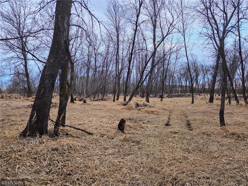 182XXX 484th LN Waterville Twp MN 56096 - Cannon River 7104086 image36
