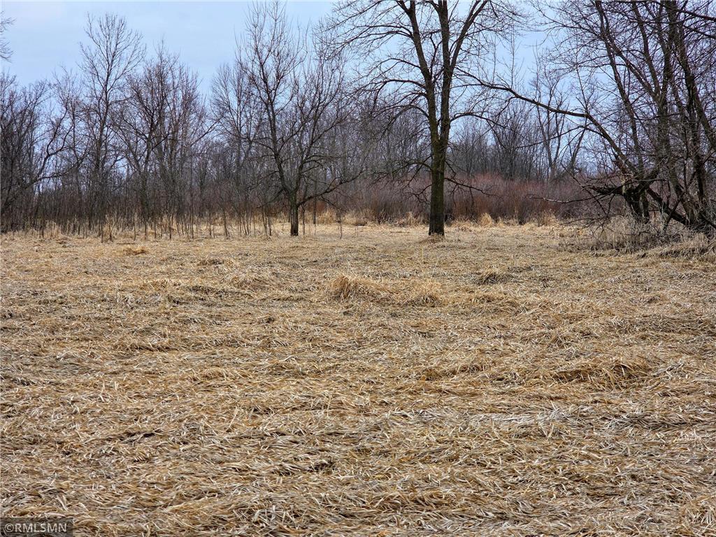 182XXX 484th LN Waterville Twp MN 56096 - Cannon River 7104086 image41
