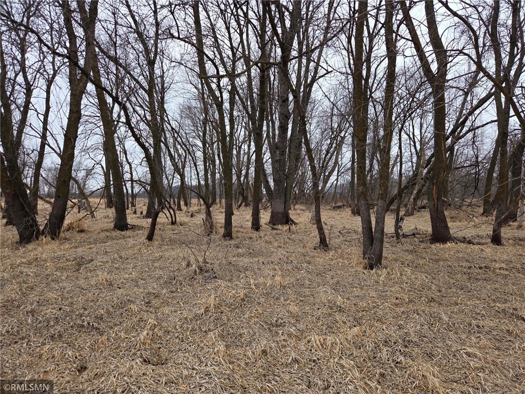 182XXX 484th LN Waterville Twp MN 56096 - Cannon River 7104086 image42