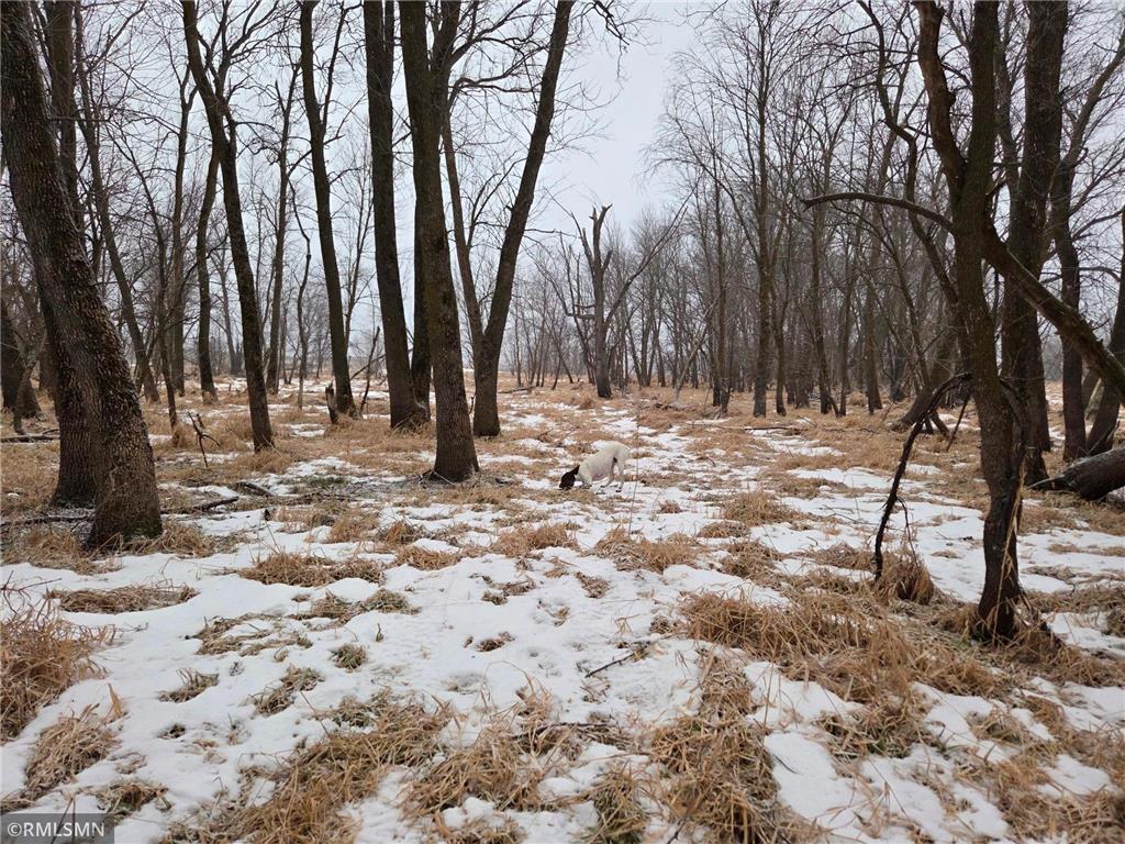 182XXX 484th LN Waterville Twp MN 56096 - Cannon River 7104086 image45
