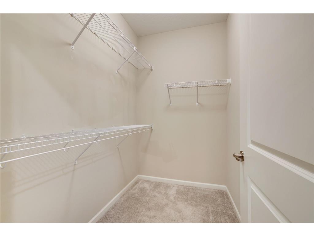 183 Liberty Heights Drive Chaska MN 55318 7080395 image19