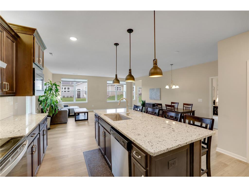 183 Liberty Heights Drive Chaska MN 55318 7080395 image8