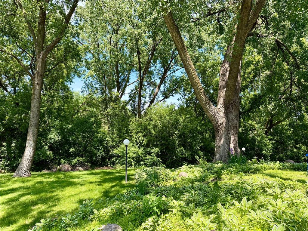 183 Little Canada Road E #217 Little Canada MN 55117 7085680 image22