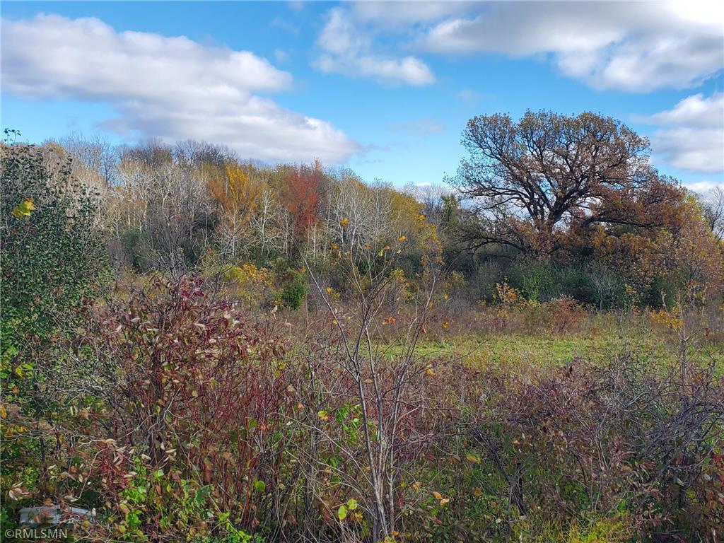 183 Pintail Street Baldwin WI 54002 6808853 image8