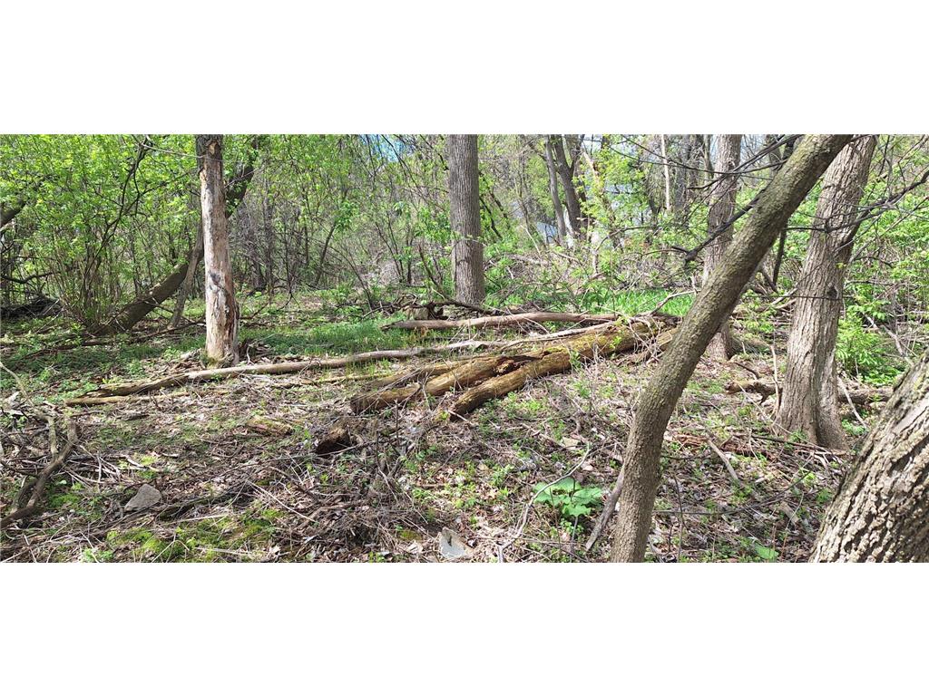 1830 Howard Street N Maplewood MN 55109 7064755 image5