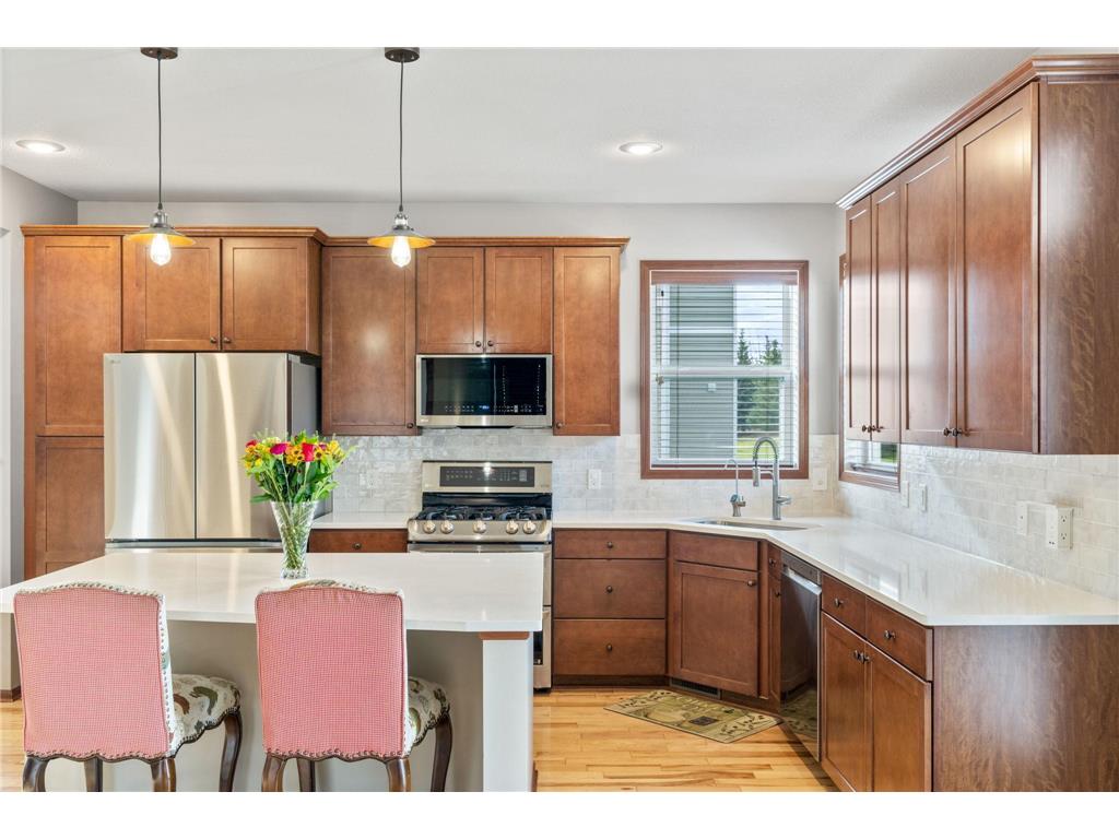 1830 Spring Creek Drive Carver MN 55315 6630425 image1