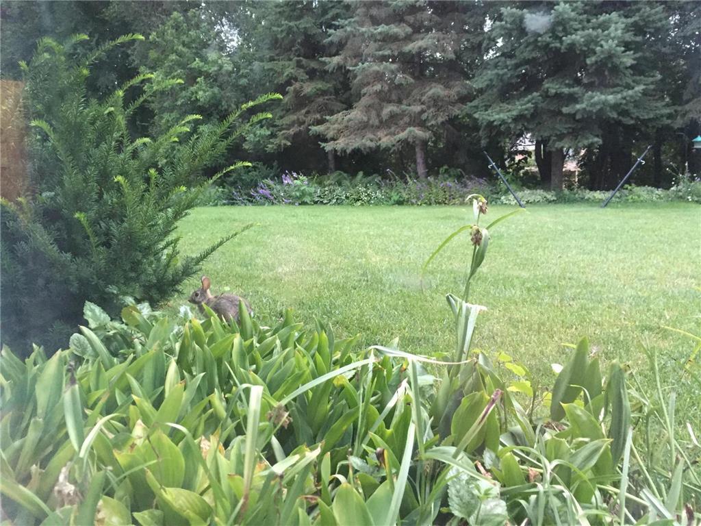 1830 Walnut Lane Eagan MN 55122 7062458 image33