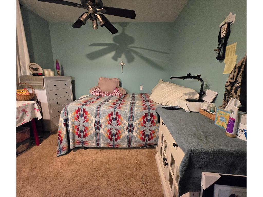 18302 Johnson Road Brainerd MN 56401 - North Long 7029644 image23