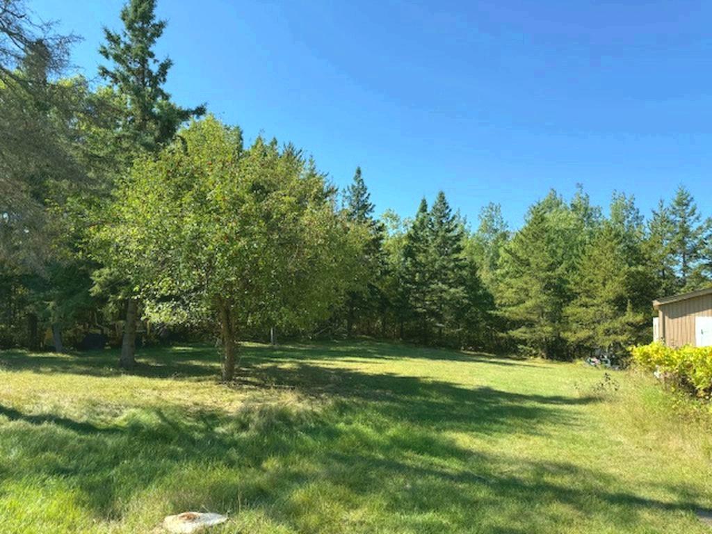 18303 County 4 Park Rapids MN 56470 6803725 image7