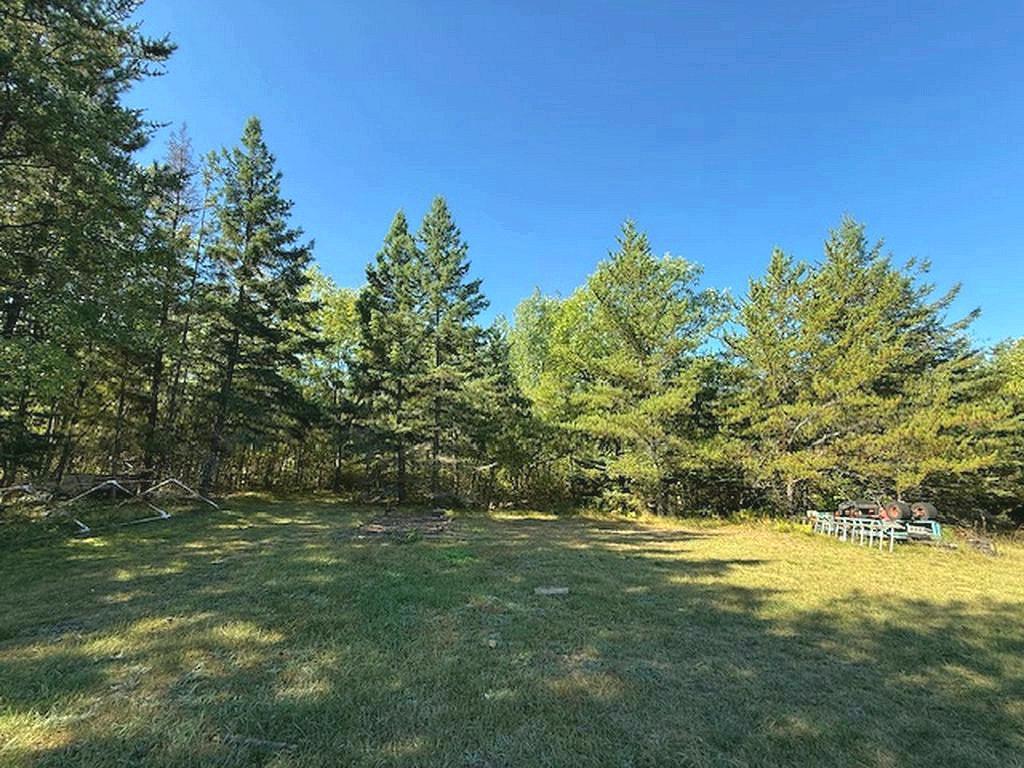 18303 County 4 Park Rapids MN 56470 6803725 image9