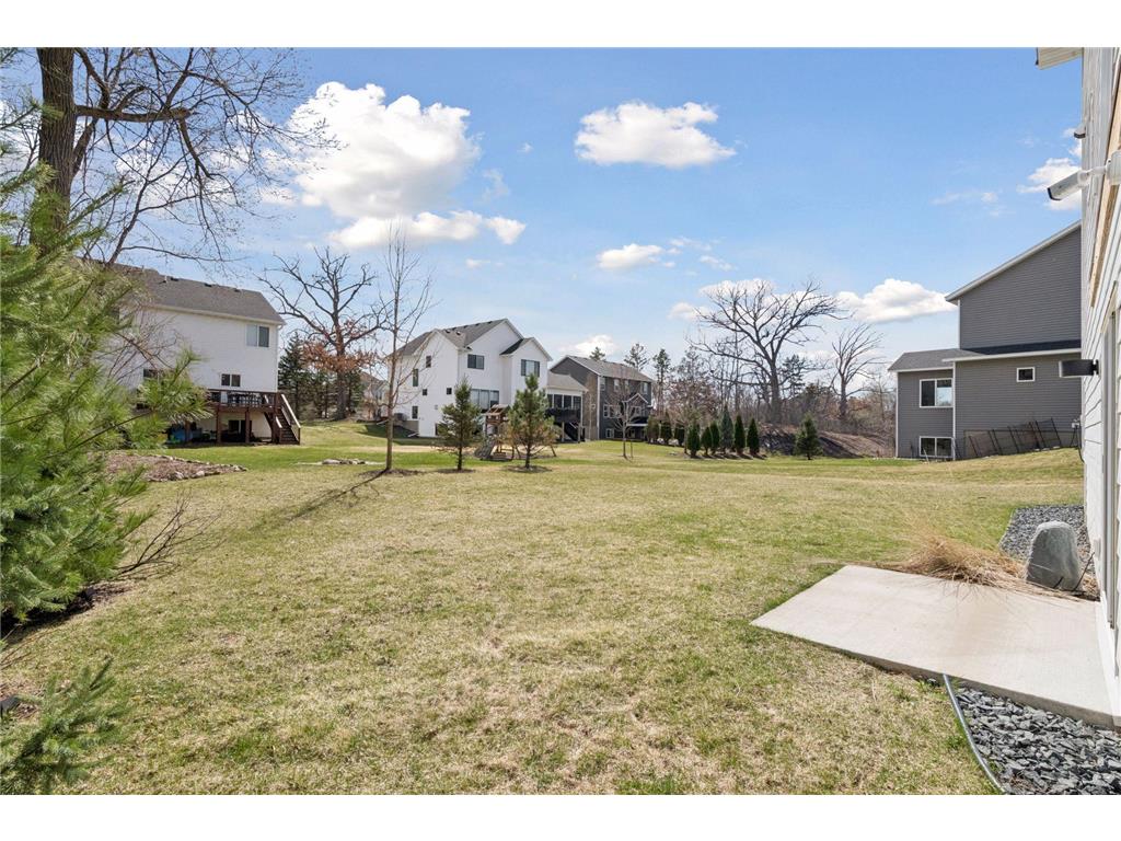 18305 Dove Court Eden Prairie MN 55347 7004693 image69