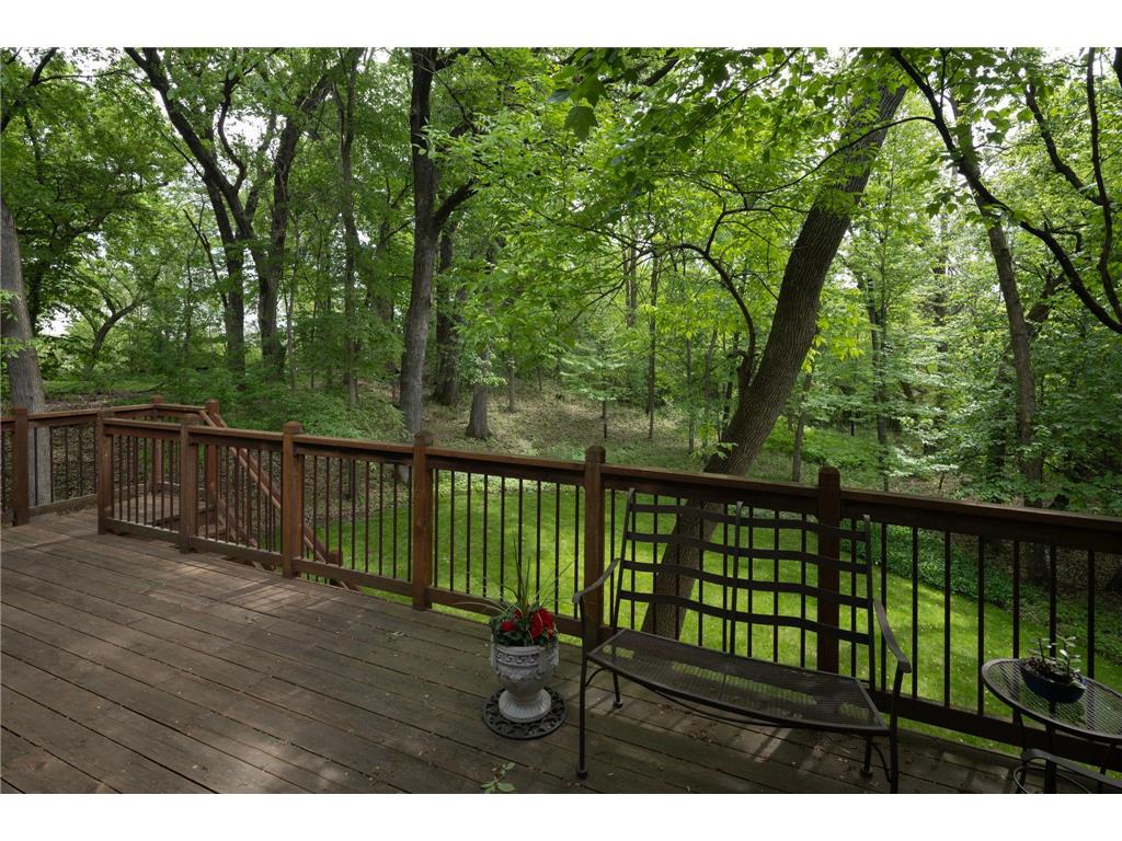 18309 Tristram Way Eden Prairie MN 55346 7057277 image37