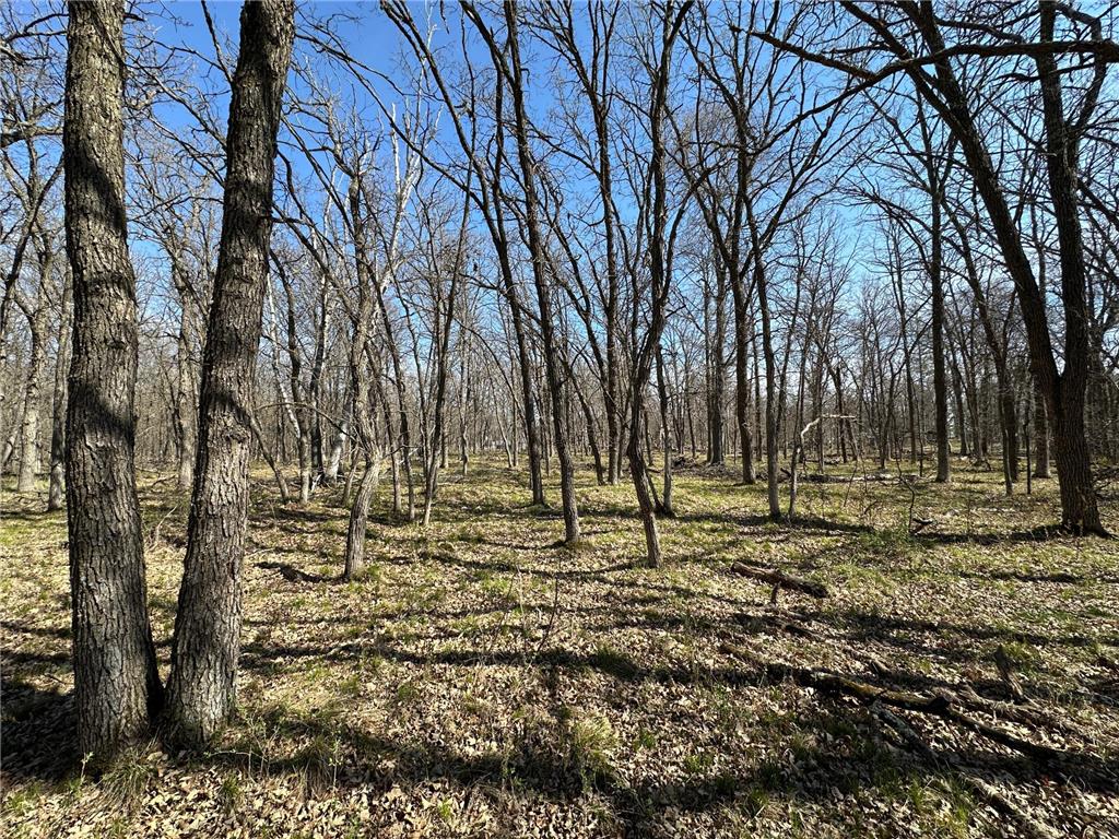 18310 150th Street Park Rapids MN 56470 7073126 image27