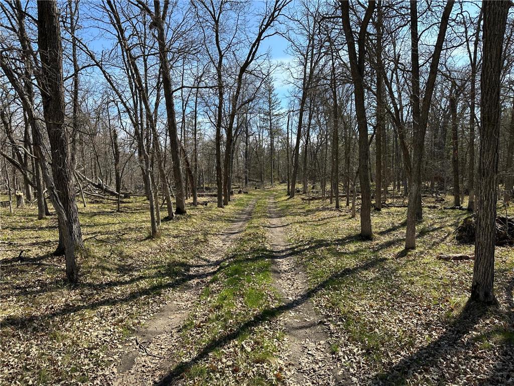 18310 150th Street Park Rapids MN 56470 7073126 image29