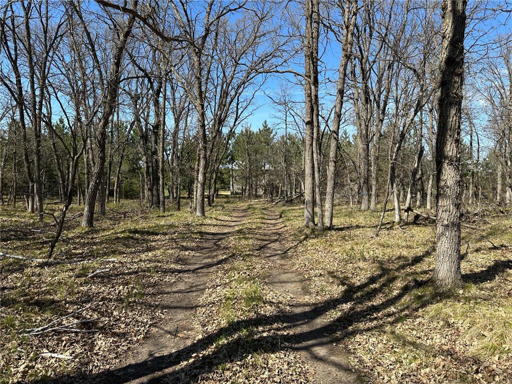 18310 150th Street Park Rapids MN 56470 7073126 image30