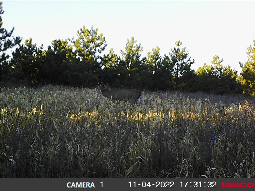 18310 150th Street Park Rapids MN 56470 7073126 image35