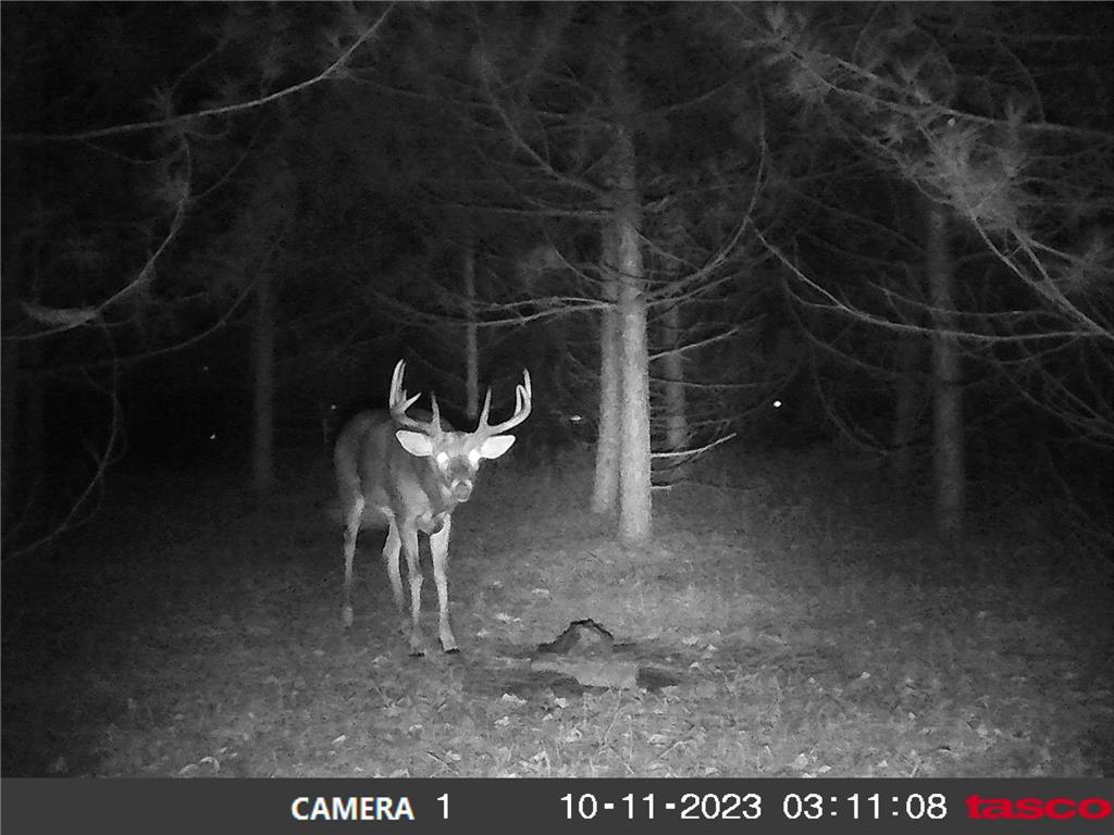 18310 150th Street Park Rapids MN 56470 7073126 image39