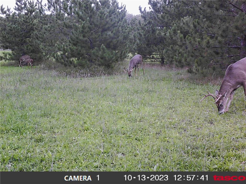 18310 150th Street Park Rapids MN 56470 7073126 image40