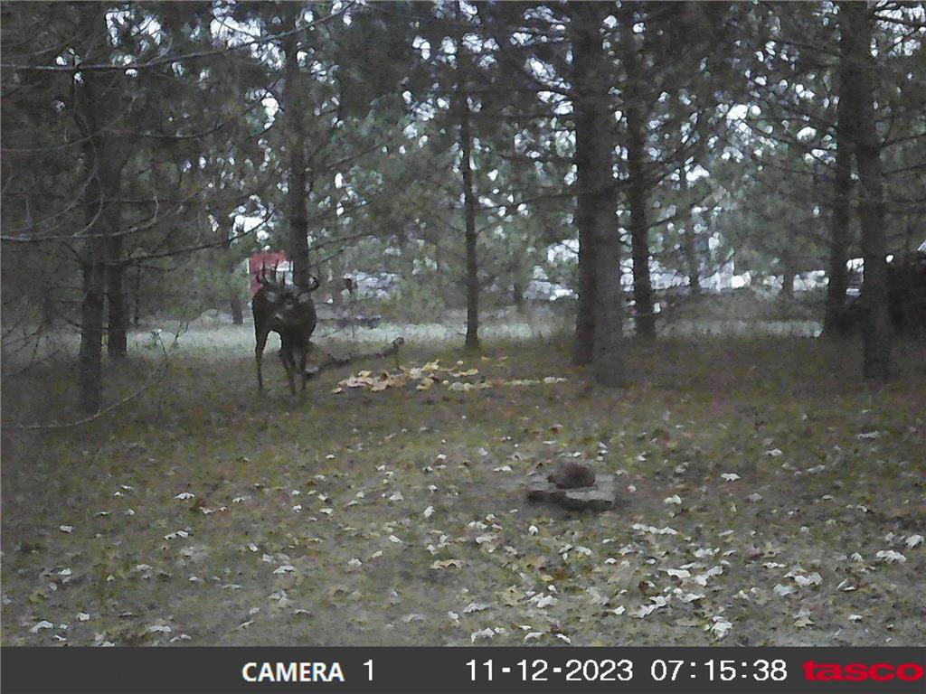 18310 150th Street Park Rapids MN 56470 7073126 image44