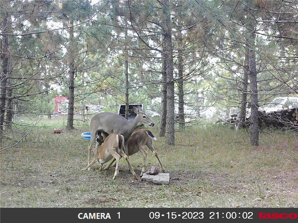 18310 150th Street Park Rapids MN 56470 7073126 image45
