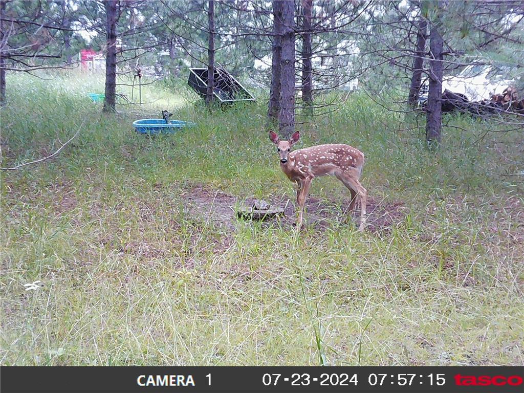 18310 150th Street Park Rapids MN 56470 7073126 image57
