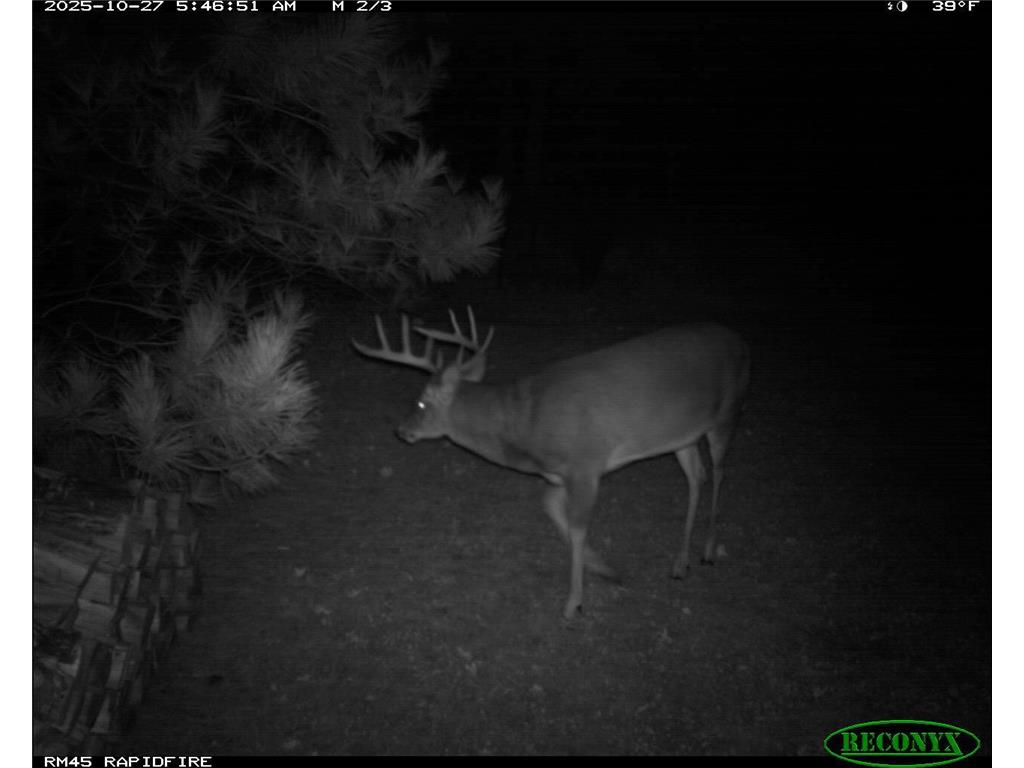 18310 150th Street Park Rapids MN 56470 7073126 image60