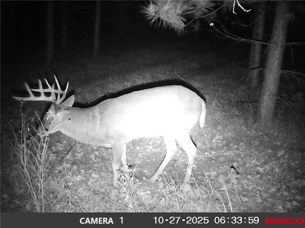 18310 150th Street Park Rapids MN 56470 7073126 image61