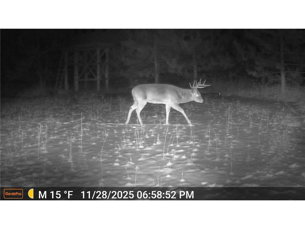 18310 150th Street Park Rapids MN 56470 7073126 image63