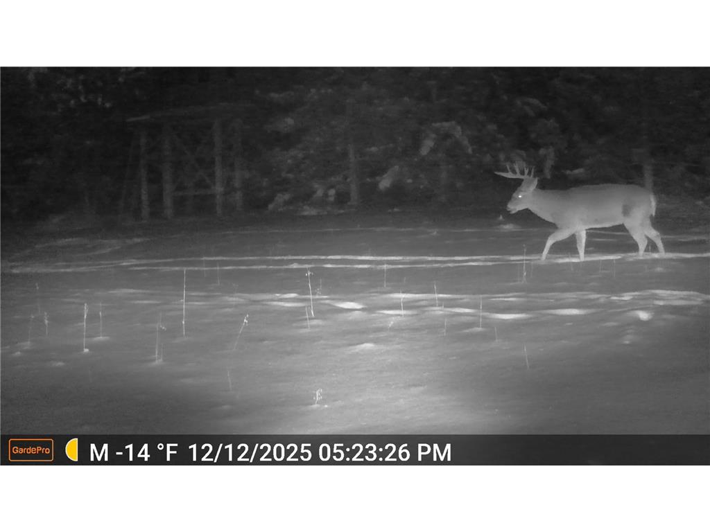 18310 150th Street Park Rapids MN 56470 7073126 image64