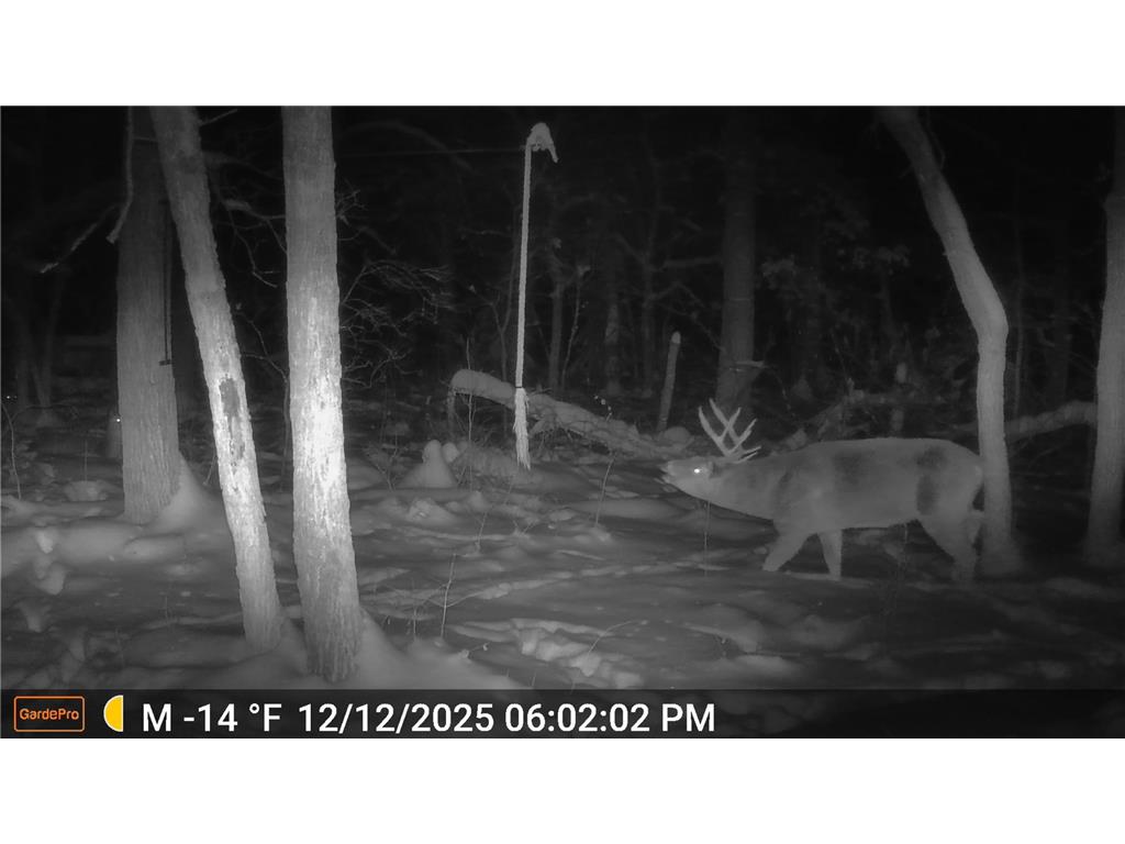 18310 150th Street Park Rapids MN 56470 7073126 image65
