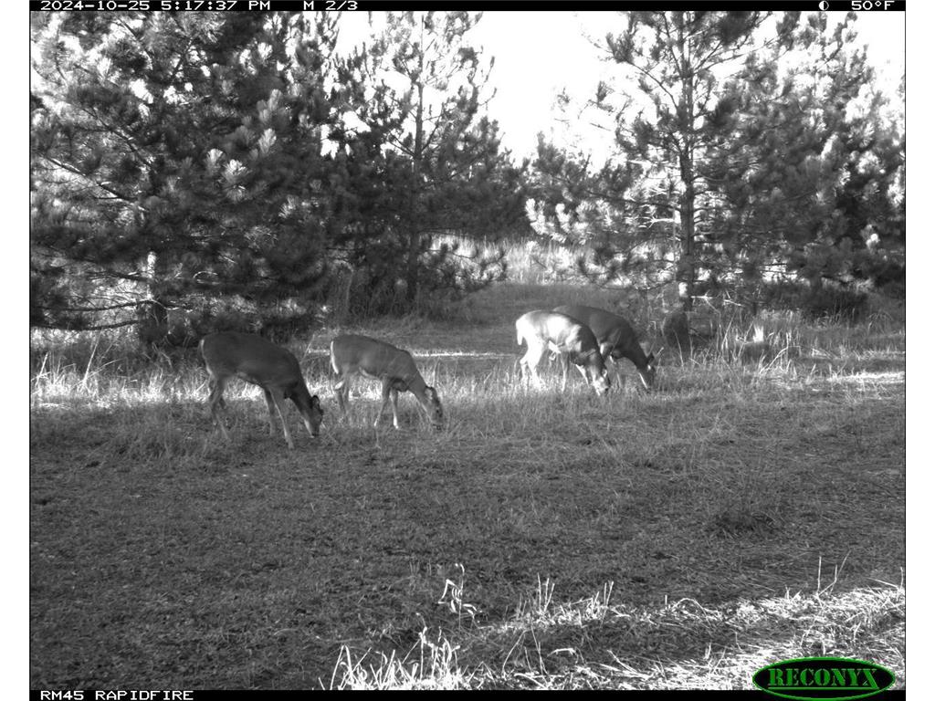 18310 150th Street Park Rapids MN 56470 7073126 image66