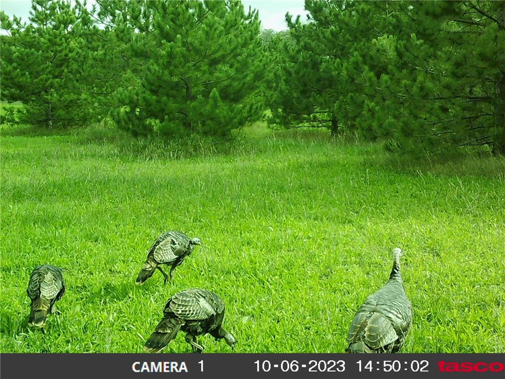 18310 150th Street Park Rapids MN 56470 7073126 image68