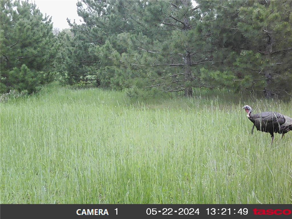 18310 150th Street Park Rapids MN 56470 7073126 image69