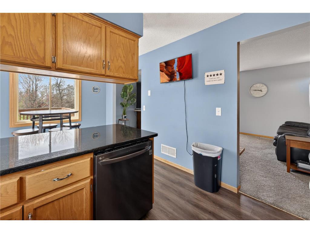 18344 N Lake Lane Chengwatana Twp MN 55063 - Cross 7060081 image48