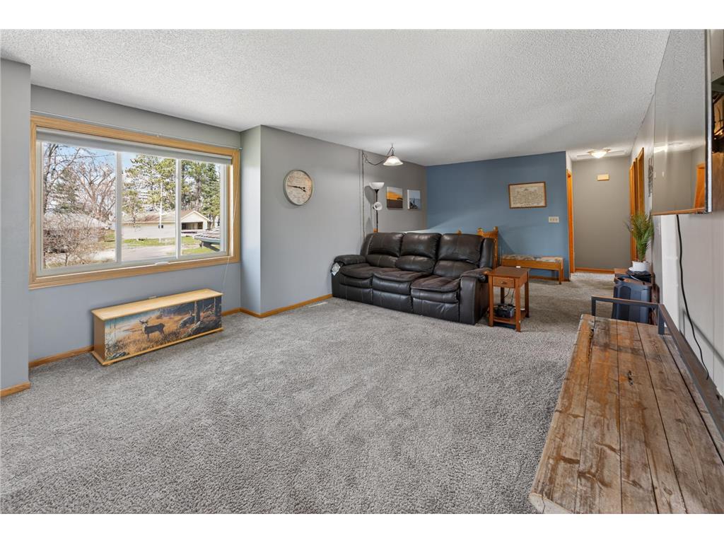18344 N Lake Lane Chengwatana Twp MN 55063 - Cross 7060081 image52