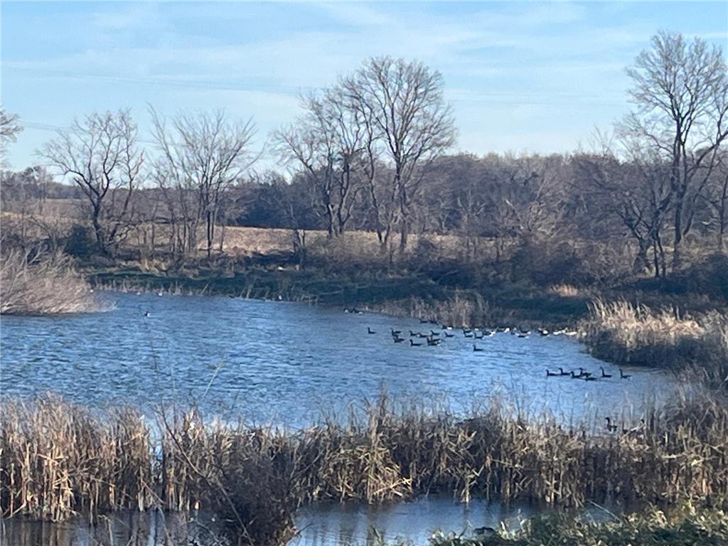 18345 102nd Street Norwood Young America MN 55397 - Smith Lake 6816176 image1