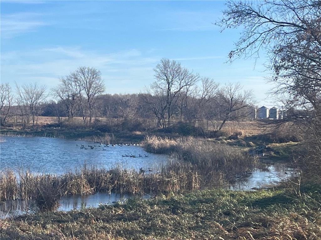 18345 102nd Street Norwood Young America MN 55397 - Smith Lake 6816176 image2