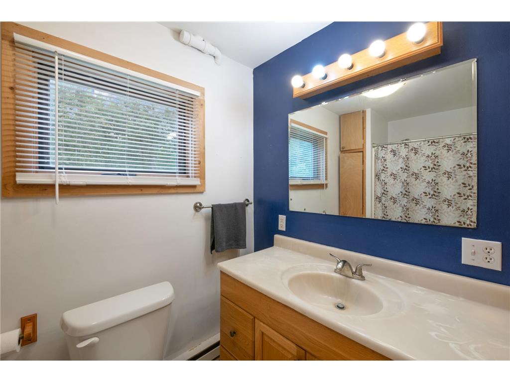 18346 Ithaca Drive Lake Emma Twp MN 56470 6777062 image12