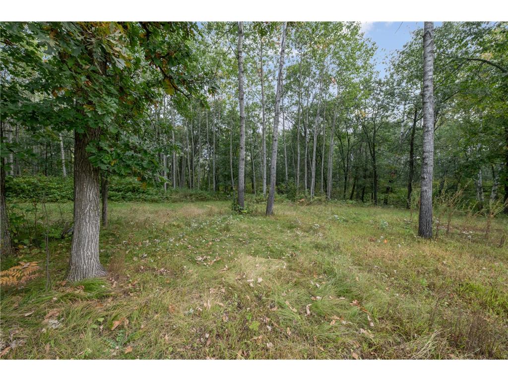 18346 Ithaca Drive Lake Emma Twp MN 56470 6777062 image23