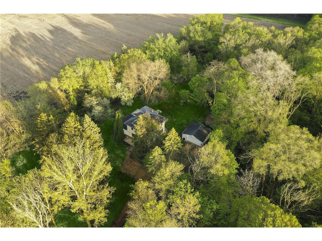 18351 State Highway 99 Montgomery Twp MN 56057 6528424 image1