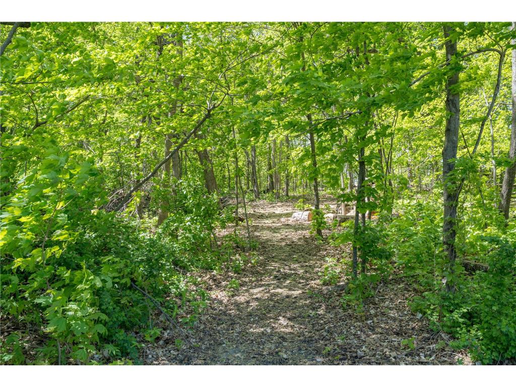 18355 336th Street Montgomery MN 56069 7055571 image40