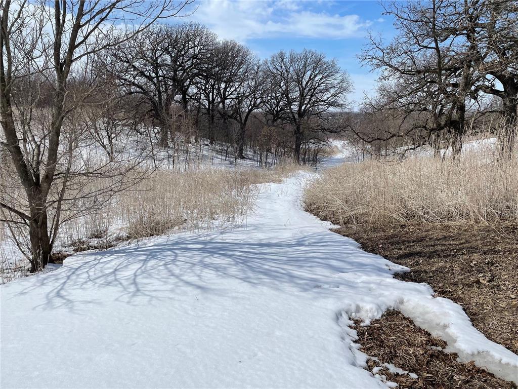 18367 315th Avenue Verona Twp MN 56098 - Elm Creek 6343564 image1