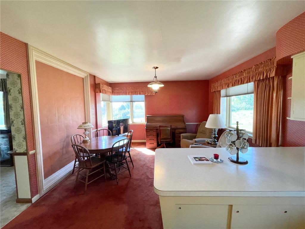 18375 County Road 4 Springfield MN 56087 6792383 image23