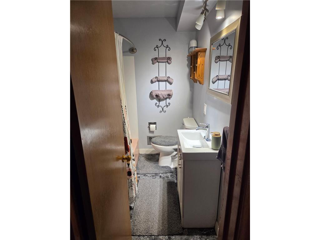 1838 Forest Street Hastings MN 55033 7032607 image15