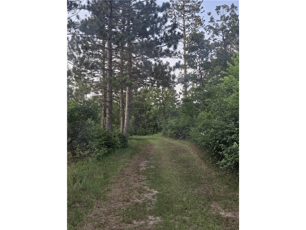 18395 Cottingham Drive Bullard Twp MN 56479 7062856 image46